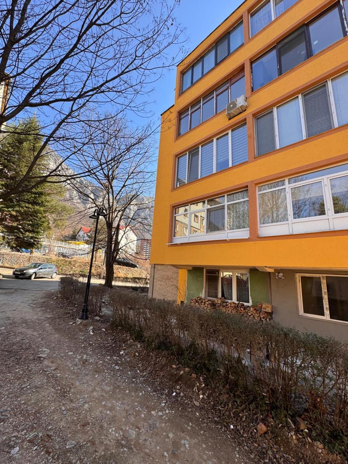Linen Tree Apartment Baile Herculane Exterior photo